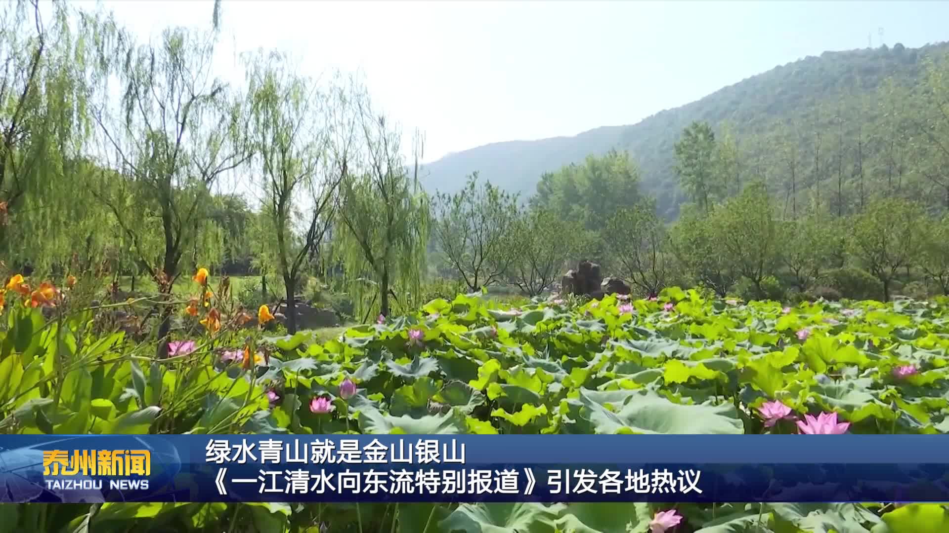 绿水青山就是金山银山  《一江清水向东流特别报道》引发各地热议